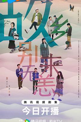 管城区网站优化推荐